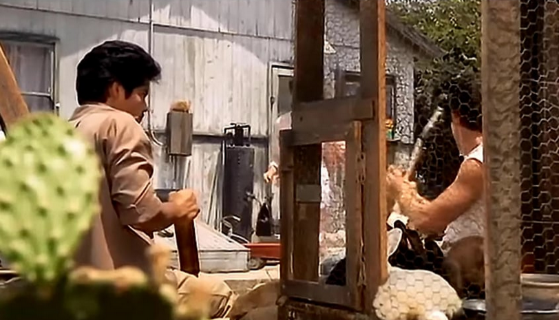 Two men sitting down near a rabbit cage while a woman approaches them